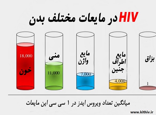 درصد احتمال ابتلا به ایدز از زن به مرد و تعداد ویروس در مایعات بدن