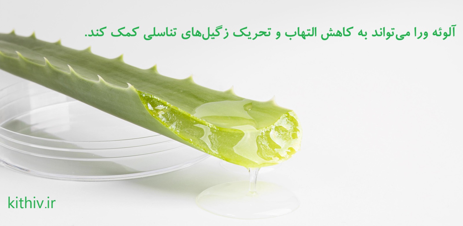 درمان خانگی زگیل تناسلی