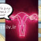 Vaginal discharge before period