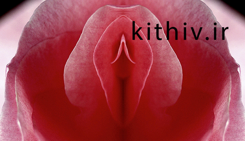 What does a normal vagina look like
